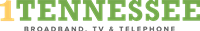1Tennessee Logo