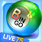 Bingo City 75 Logo