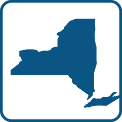 Dmv.ny Logo