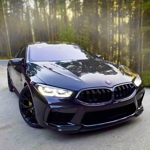 Real Car Driving Logo
