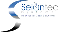 Seiontec Systems Logo