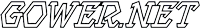 Gower Net Logo