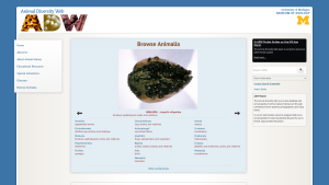 Latest animaldiversity.ummz.umich.edu screenshot