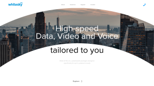 Latest www.whitesky.us screenshot