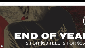 Latest youngandreckless.com screenshot